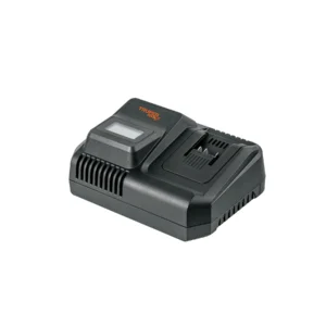 Cargador rápido de baterías de ion litio 20V
